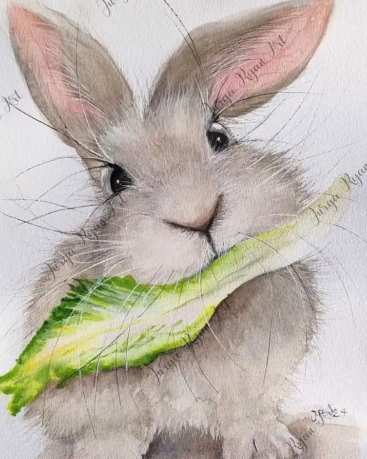 Can Rabbits Eat Cucumber?