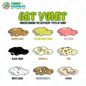 Why Is My Cat Throwing Up Undigested Food?