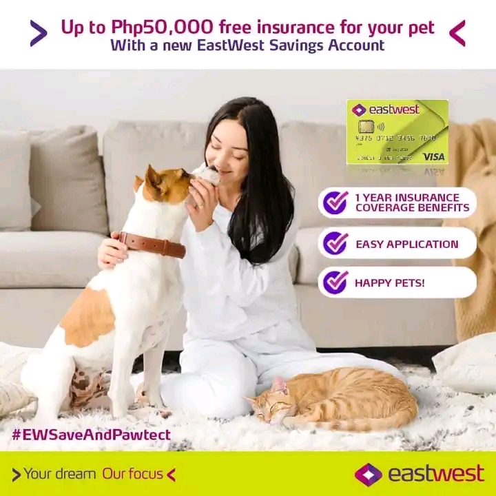 Why Your Pets Should Get Insurance